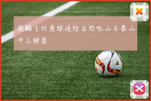 谢鹏飞任意球造险后怒吼山东泰山冲上榜首