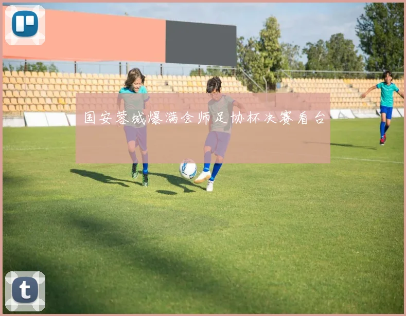 国安蓉城爆满会师足协杯决赛看台