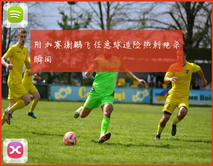 附加赛谢鹏飞任意球造险热刺绝杀瞬间