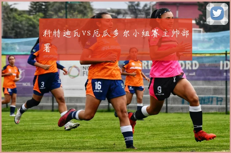 科特迪瓦vs厄瓜多尔小组赛主帅部署