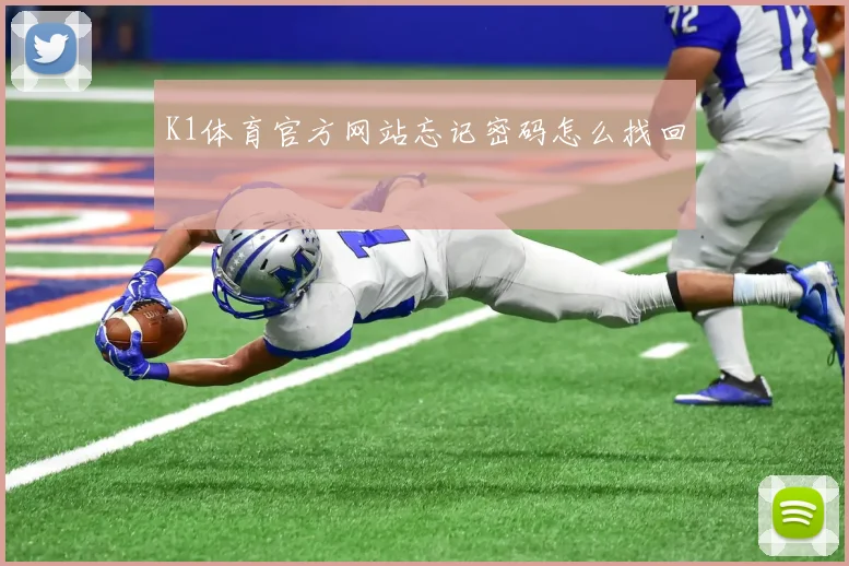 K1体育官方网站忘记密码怎么找回